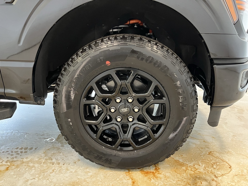 2025 Ford F-150 XLT photo 10