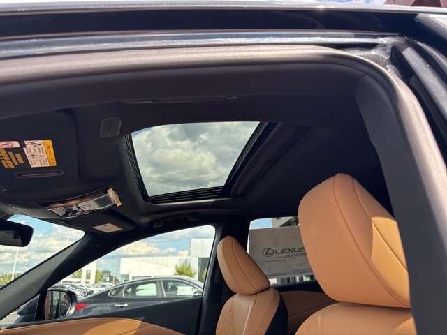 2025 Lexus RX 350 Premium photo 23