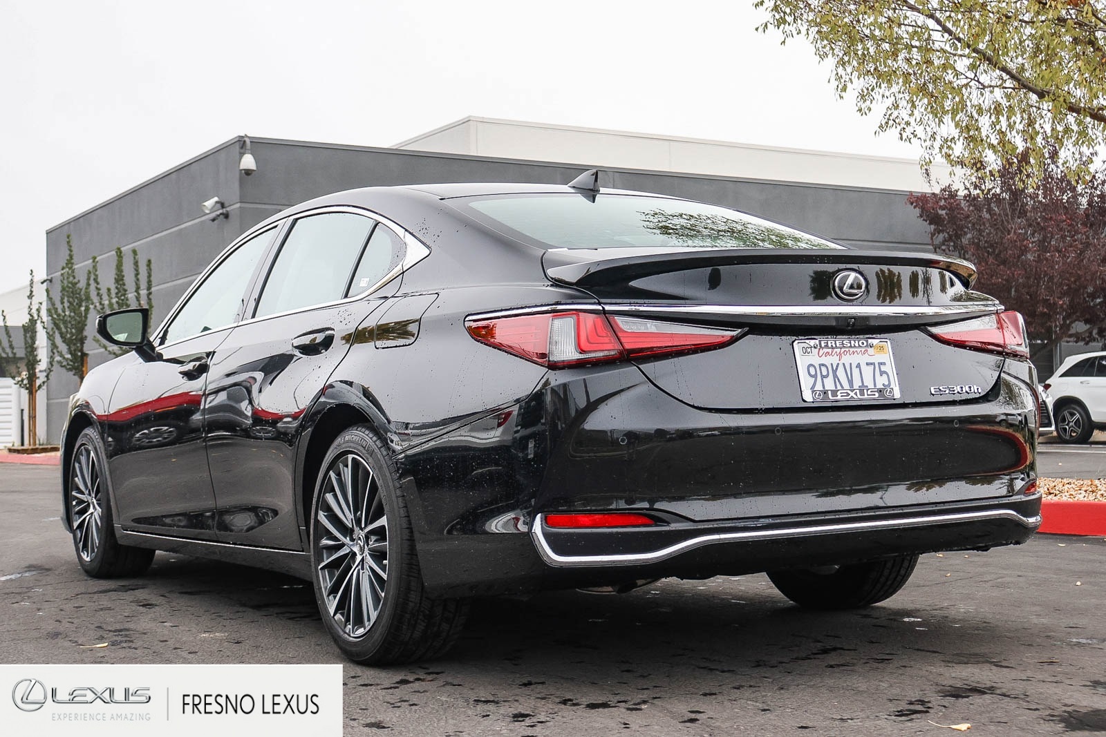 2025 Lexus ES 300h photo 4