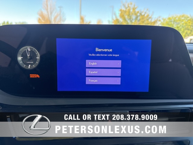2025 Lexus ES 300h photo 15