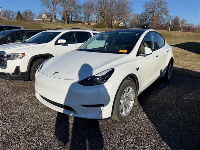 2023 Tesla Model Y Long Range's photo