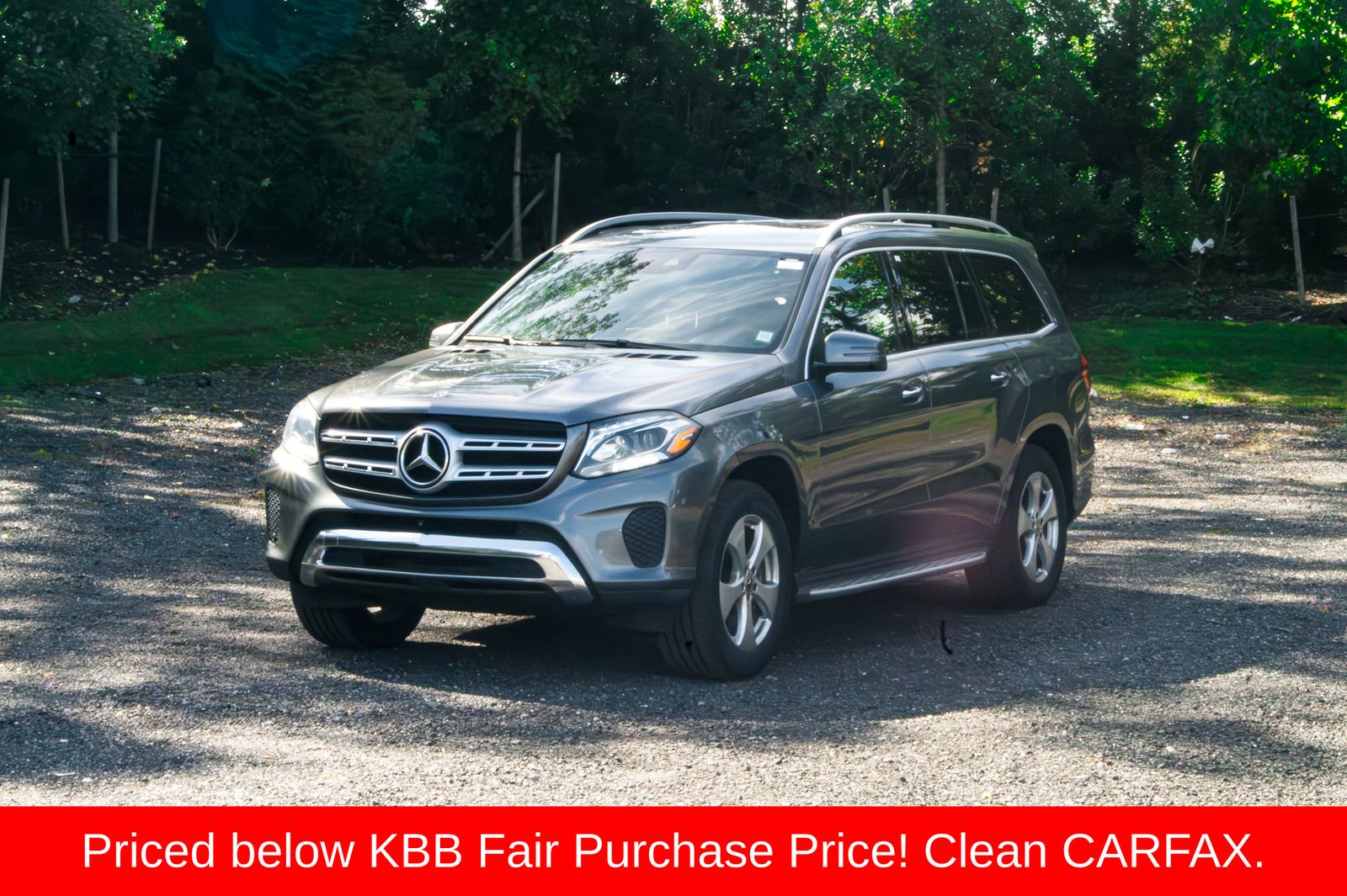 2019 Mercedes-Benz GLS-Class GLS450's photo