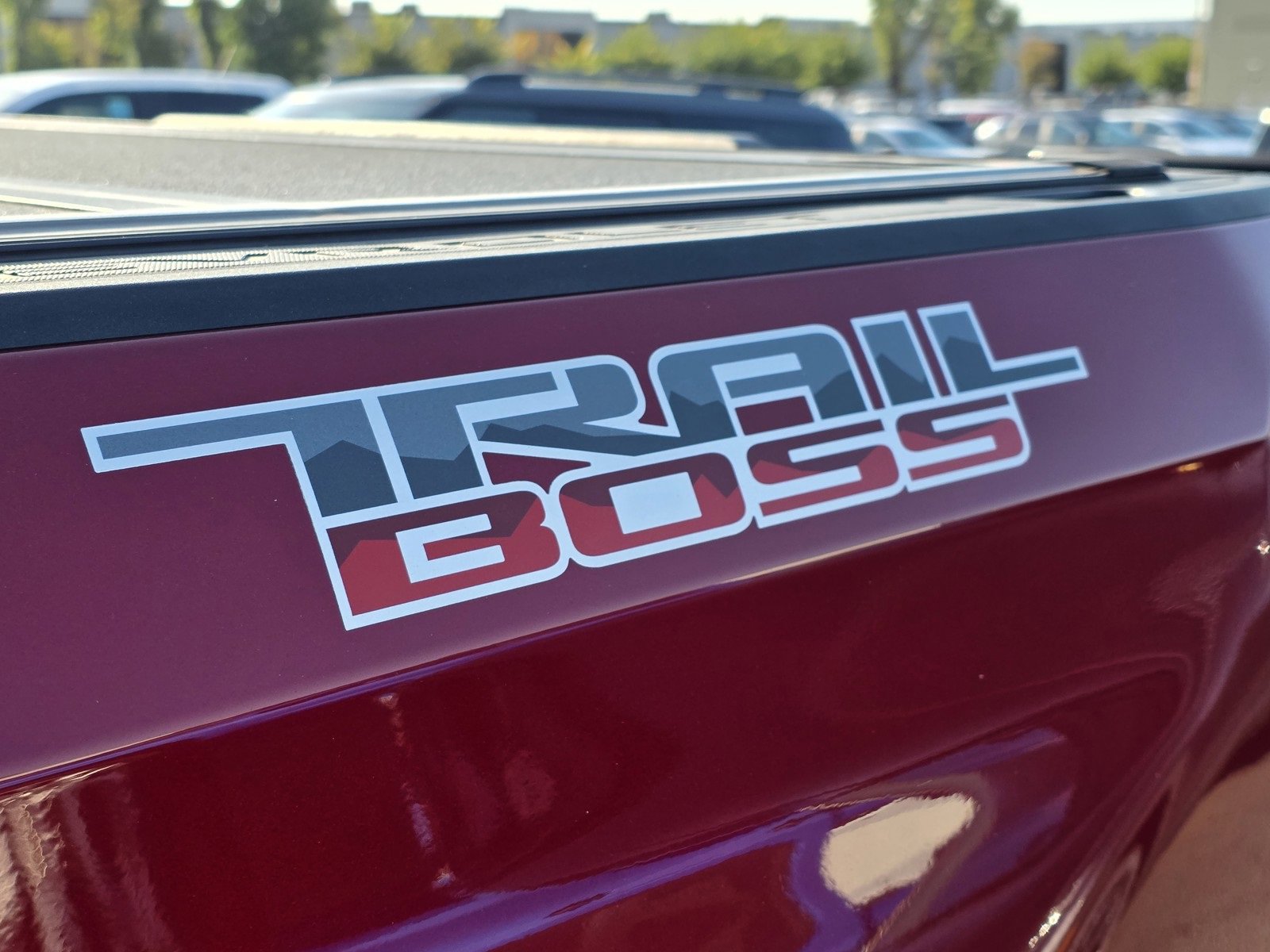 2022 Chevrolet Silverado 1500 LT Trail Boss photo 8