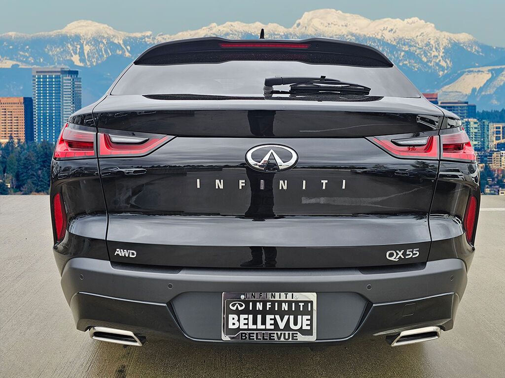 2023 Infiniti QX55 Luxe photo 3
