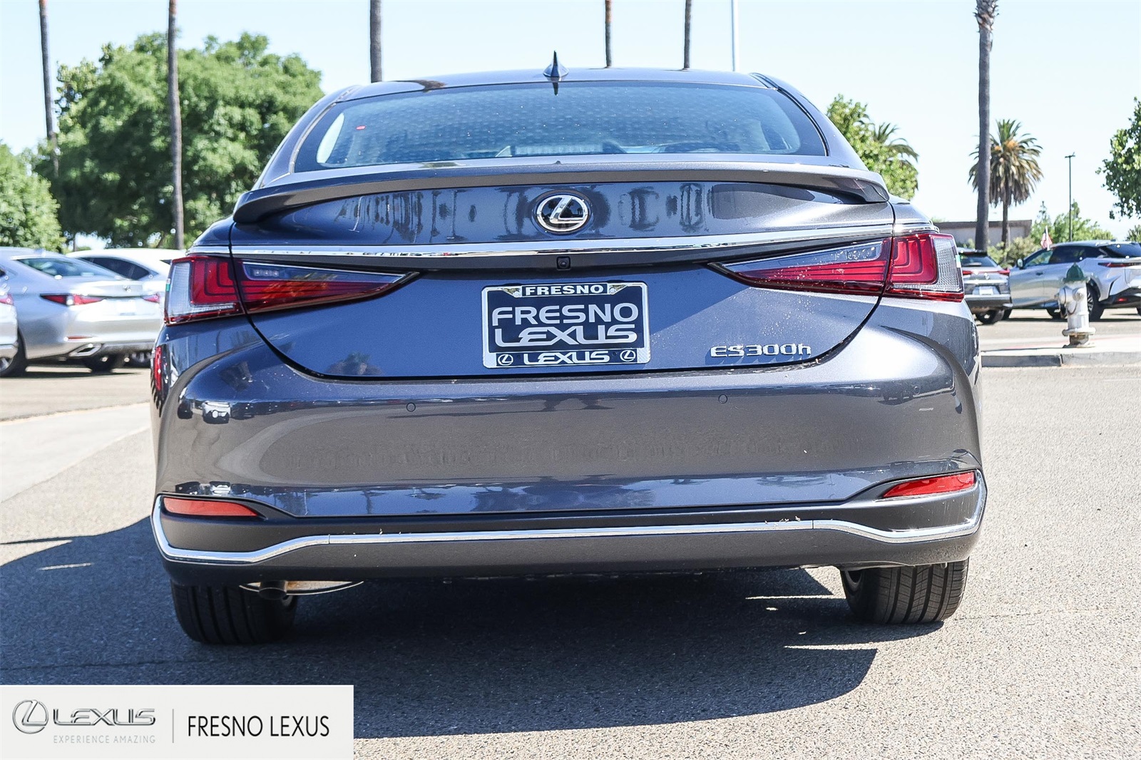 2025 Lexus ES 300h photo 5