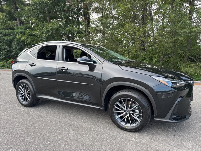 2025 Lexus NX 350's photo