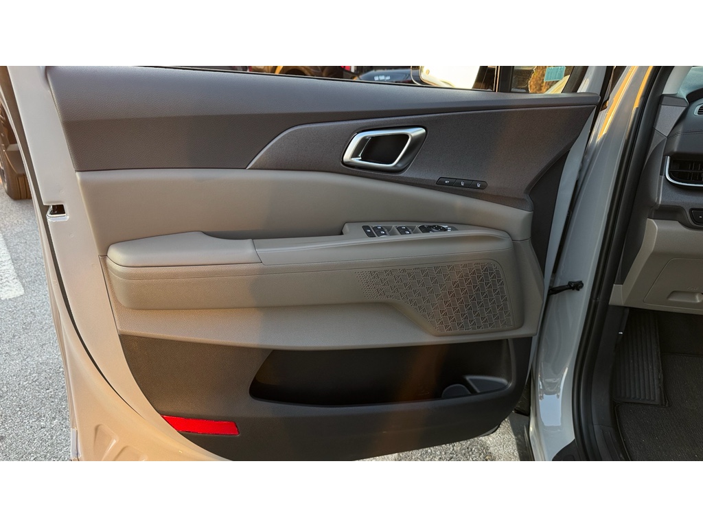 2026 Kia Carnival SX Prestige photo 19