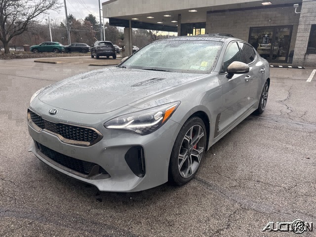 2019 Kia Stinger GT1's photo