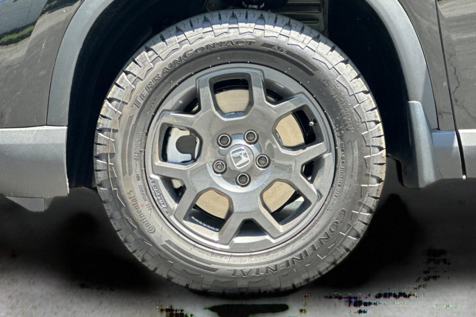 2025 Honda Pilot TrailSport photo 23