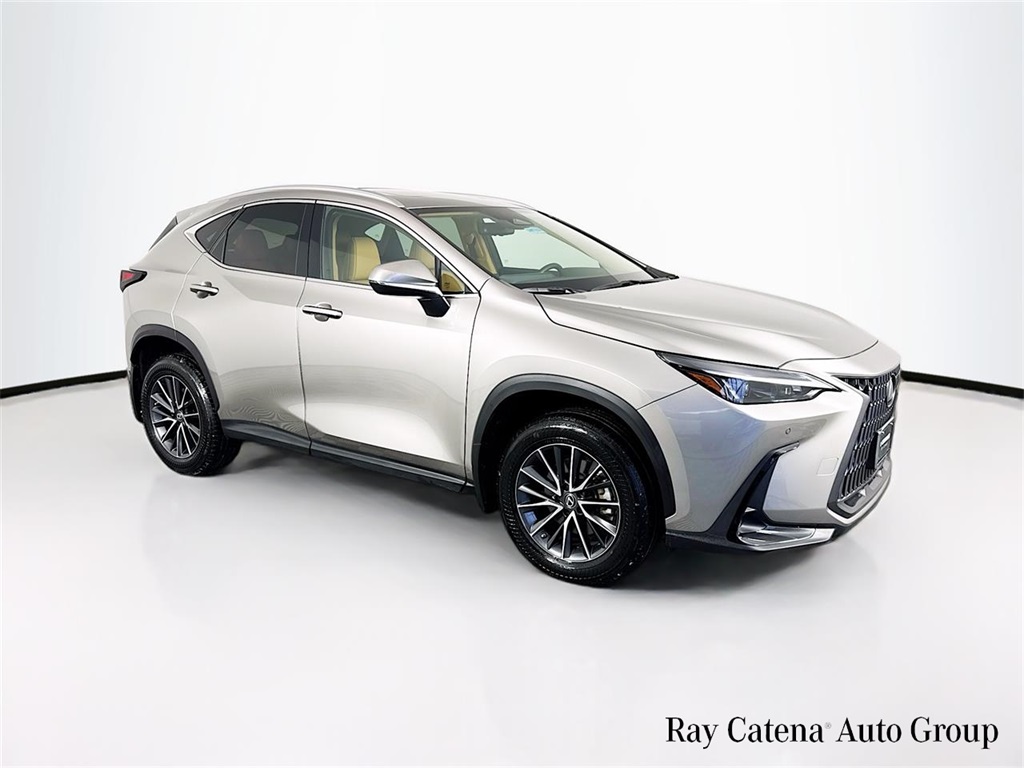 2023 Lexus NX 350's photo