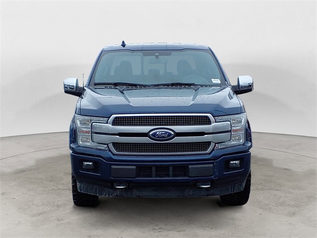 2019 Ford F-150 Platinum photo 8