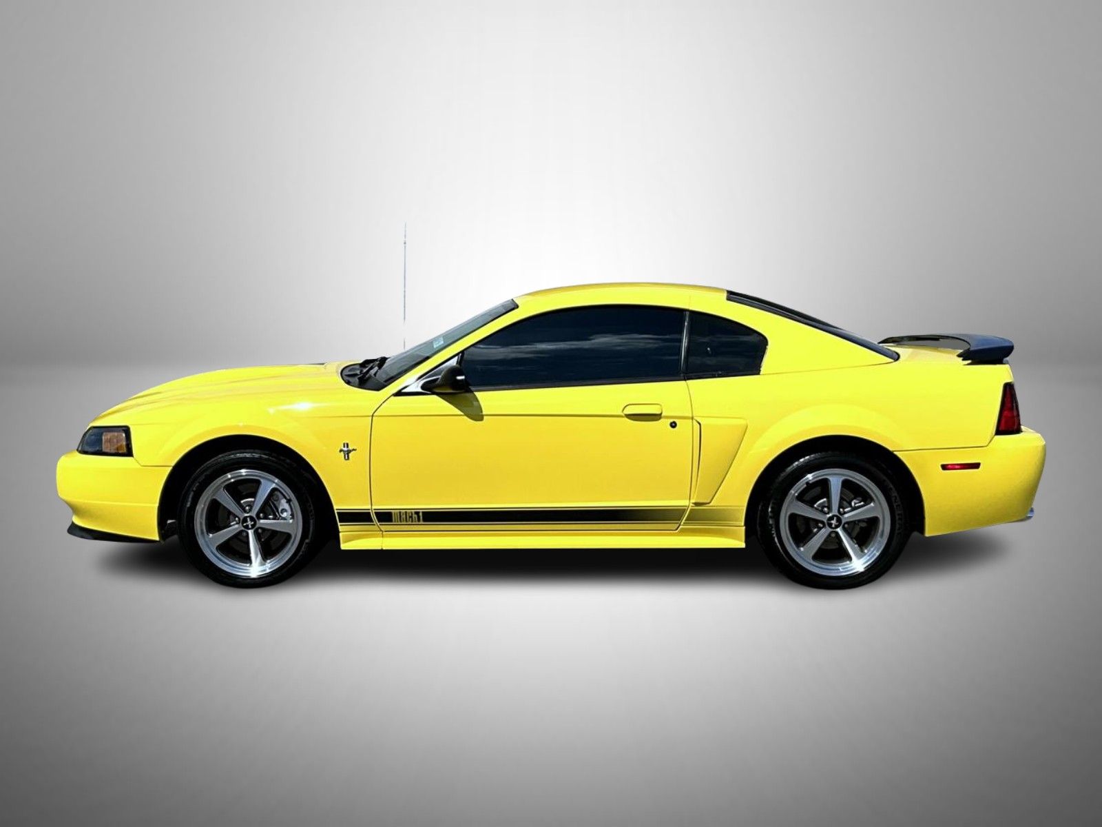 2003 Ford Mustang Mach 1 photo 8