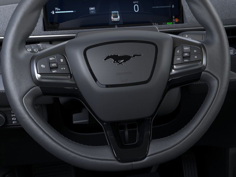 2025 Ford Mustang Mach-E Premium photo 10