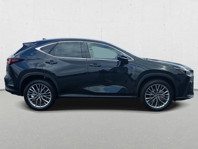 2025 Lexus NX 350 Luxury AWD photo 4