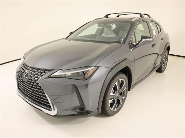 2025 Lexus UX photo 8