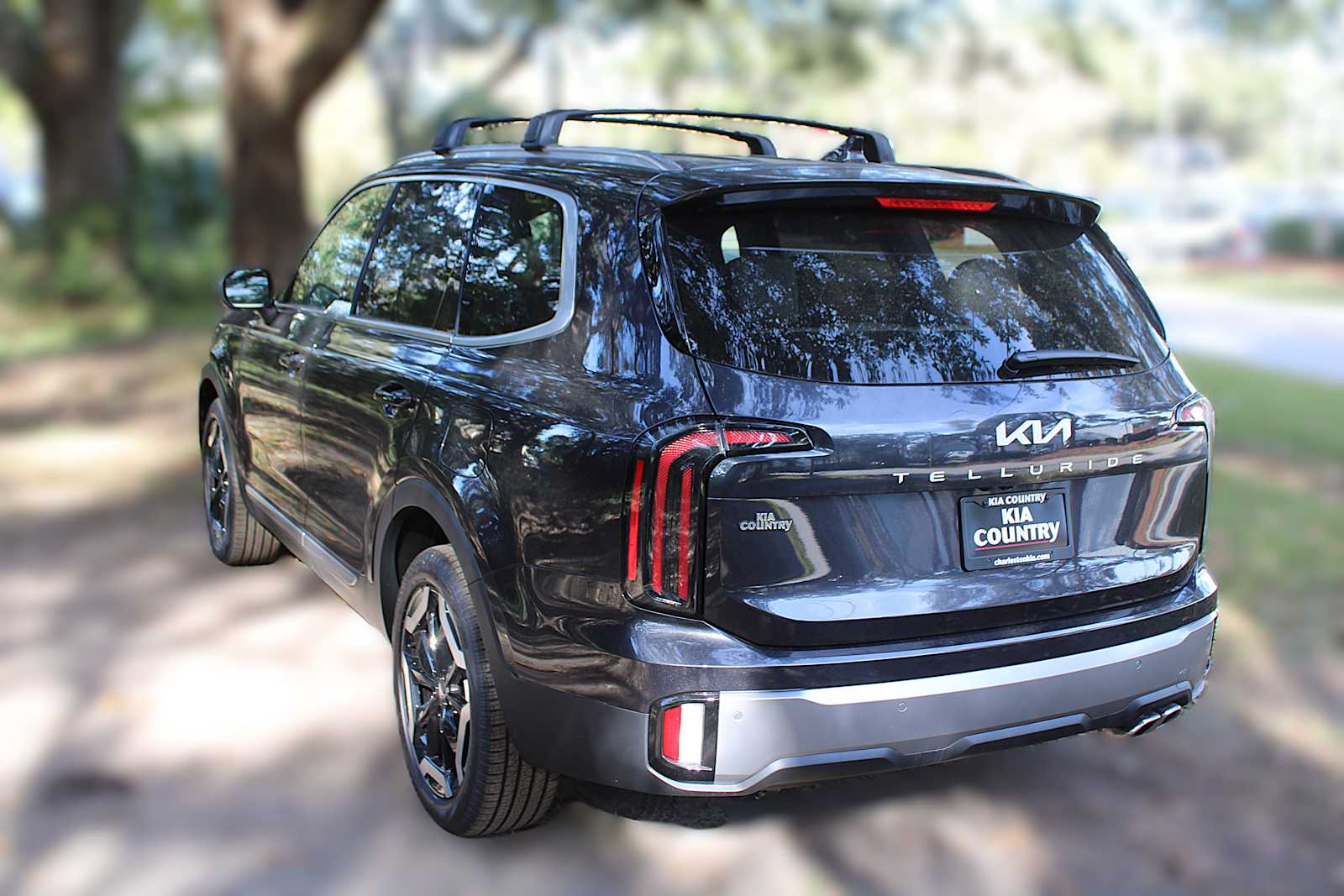 2025 Kia Telluride EX photo 10