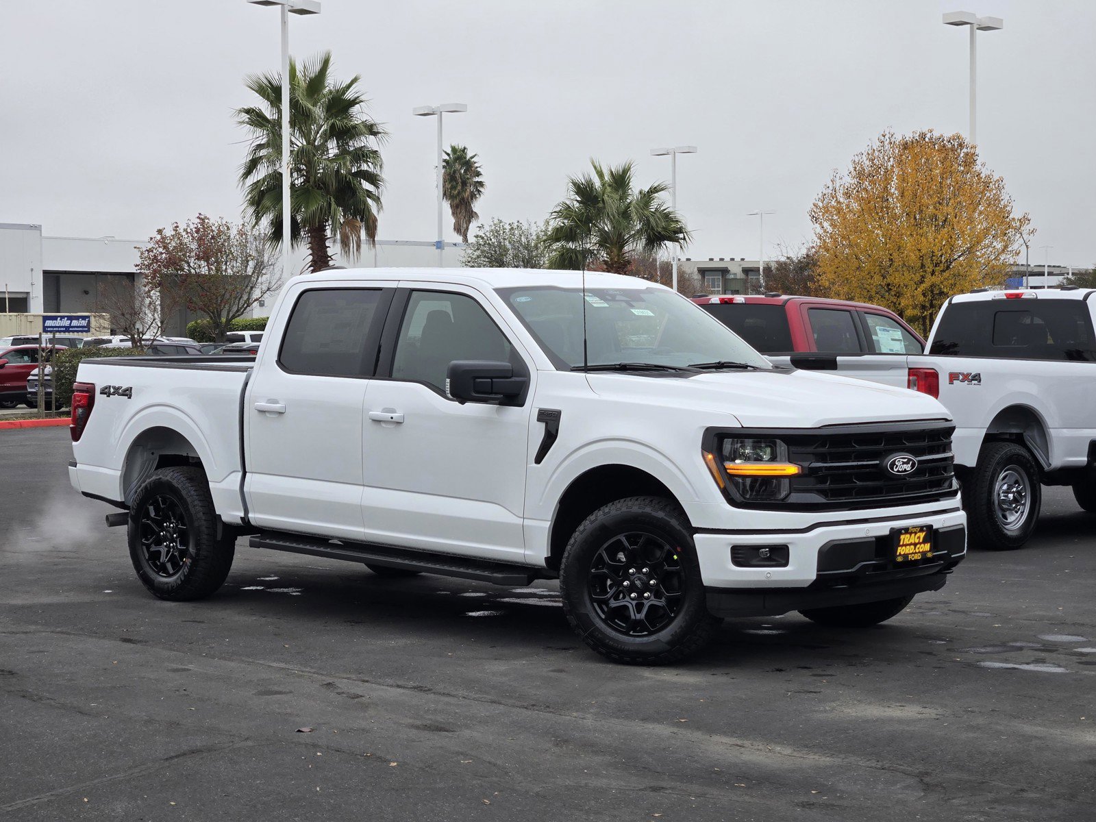 2025 Ford F-150 XLT's photo