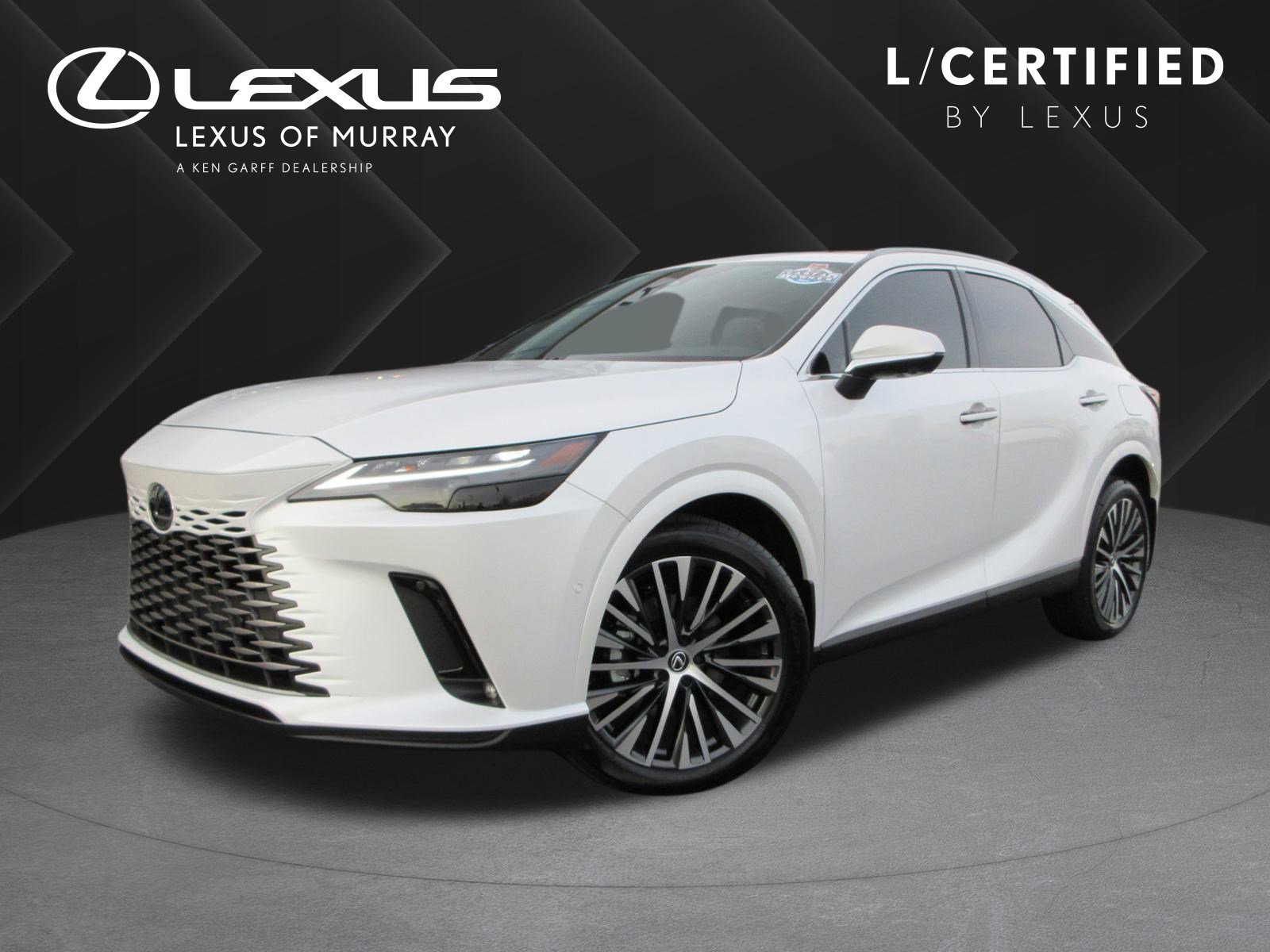 2025 Lexus RX 350's photo
