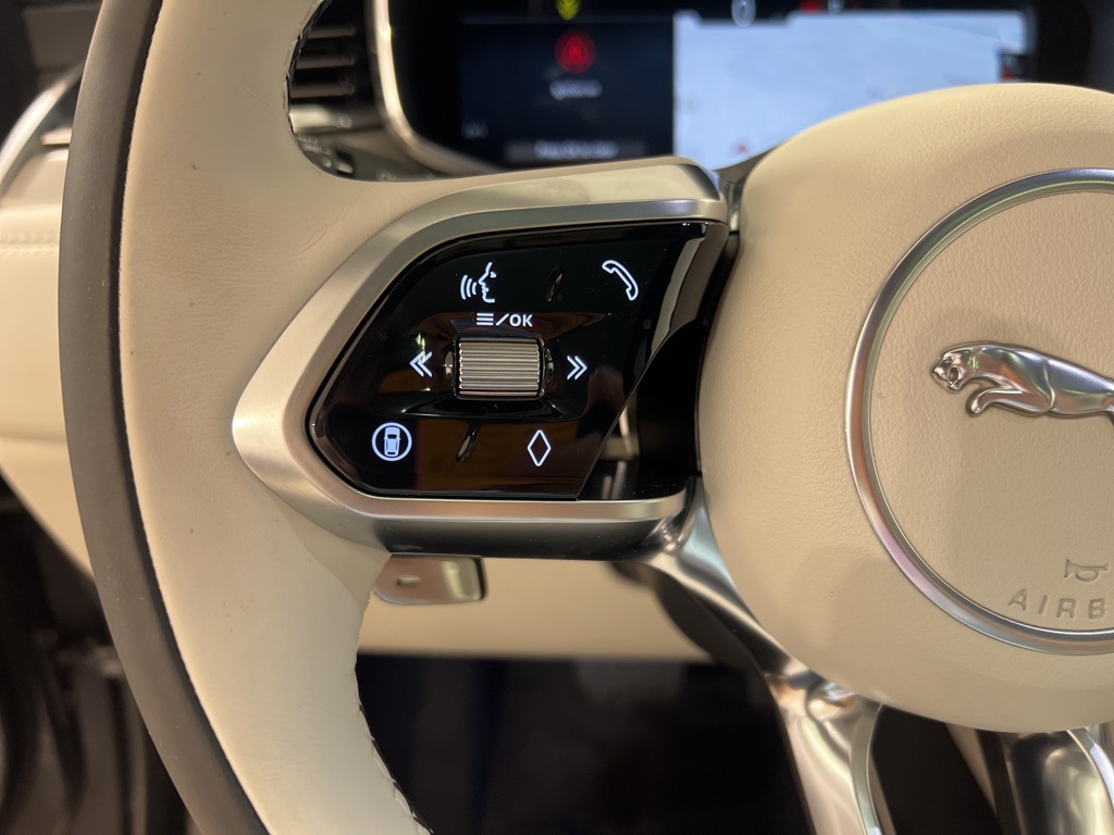2025 Jaguar F-PACE P250 R-Dynamic S photo 10
