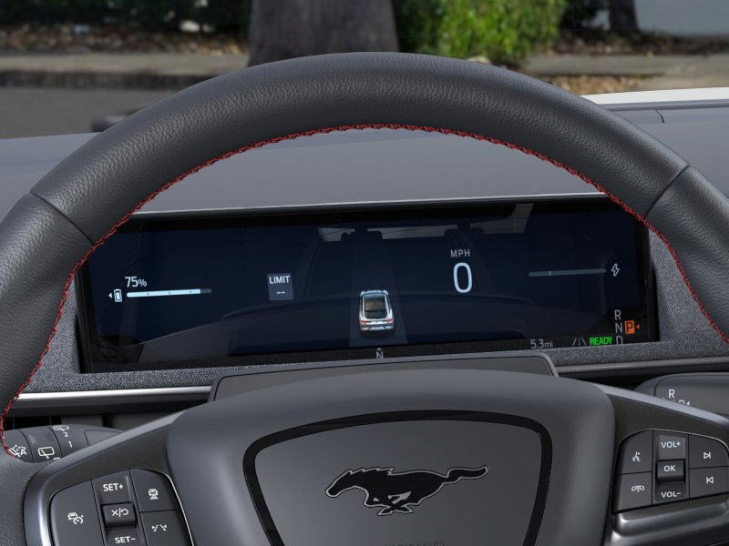 2025 Ford Mustang Mach-E Premium photo 12