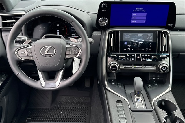 2025 Lexus LX photo 12