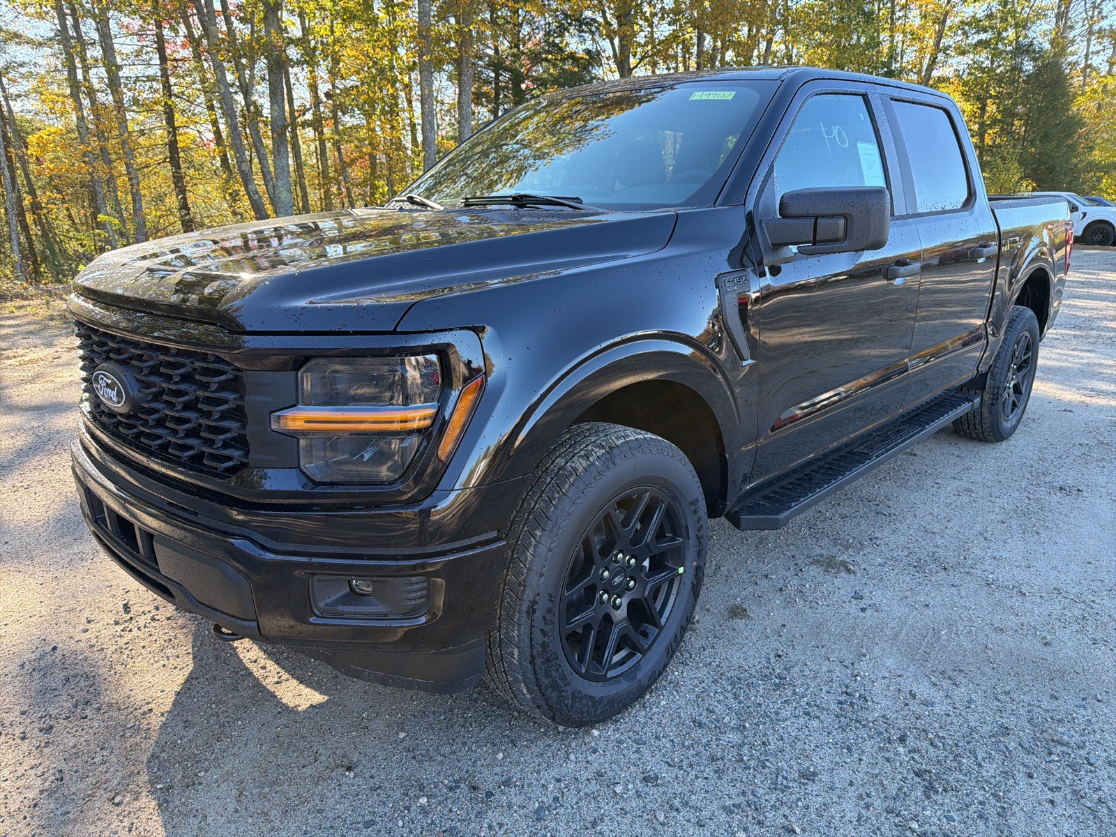 2025 Ford F-150 STX photo 3