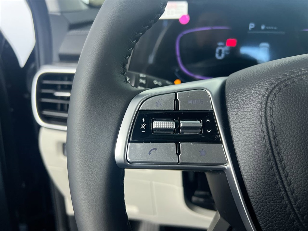 2025 Kia Telluride EX photo 16