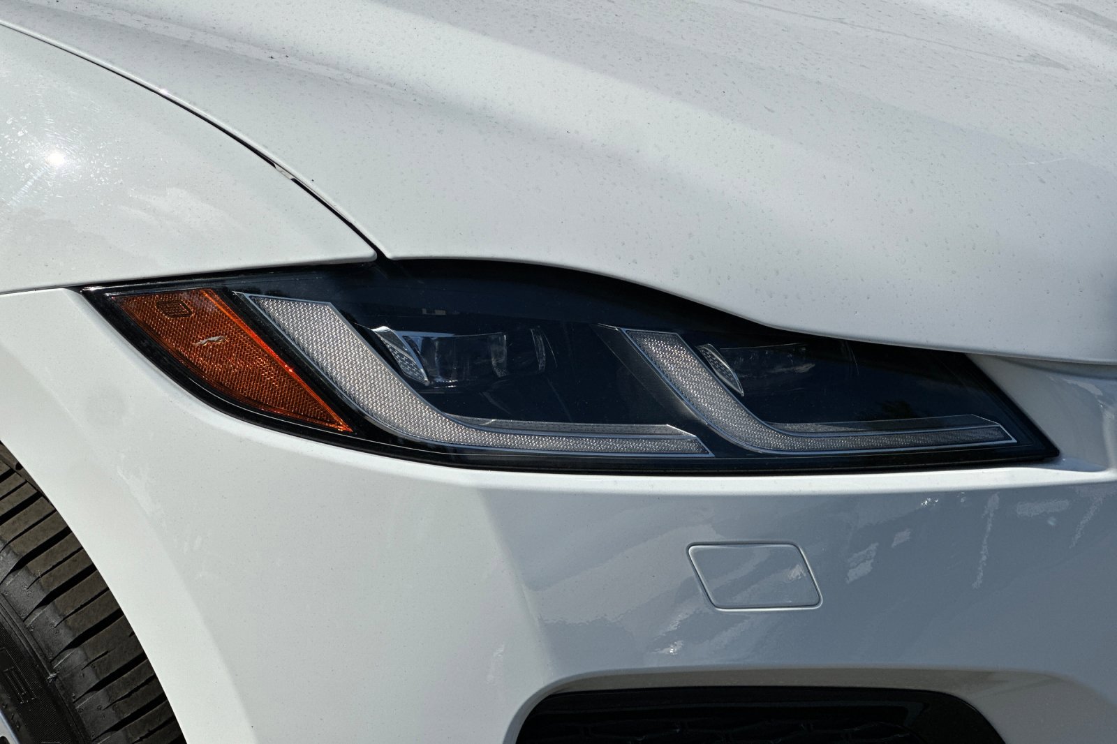2025 Jaguar F-PACE P250 R-Dynamic S photo 10
