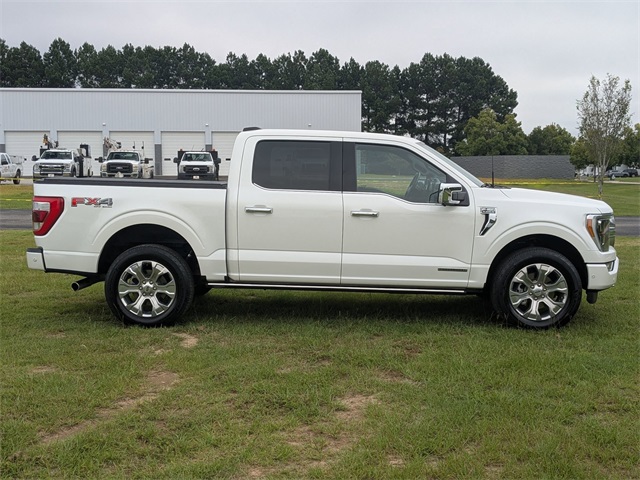 2022 Ford F-150 Platinum photo 3