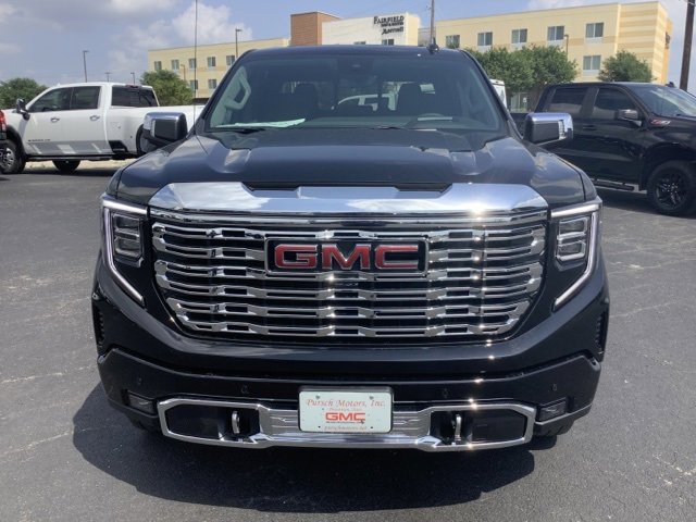 2025 Gmc Sierra 1500 Denali photo 2