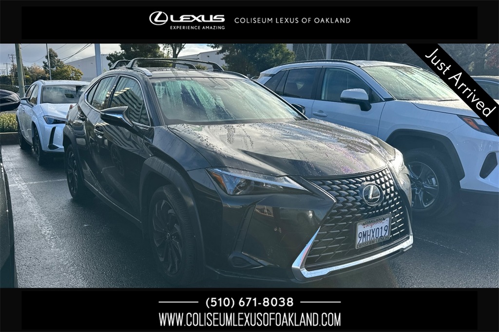 2025 Lexus UX Hybrid 300h's photo