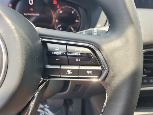 2025 Mazda CX-90 3.3 Turbo Premium Plus photo 28