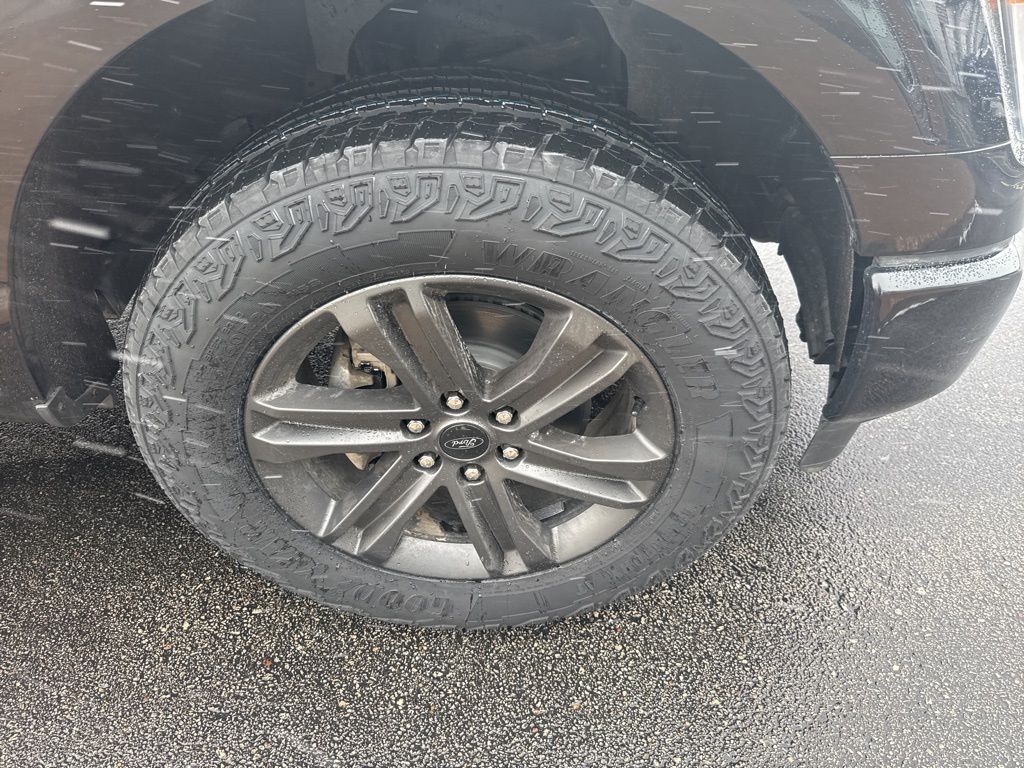 2023 Ford F-150 XLT photo 4