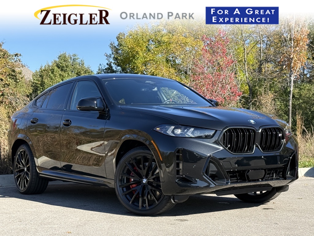 2026 BMW X6 M60i's photo