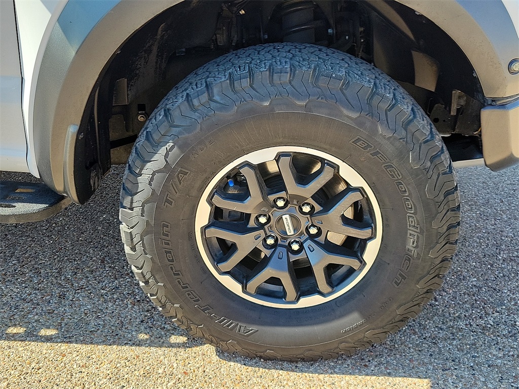 2020 Ford F-150 Raptor photo 14