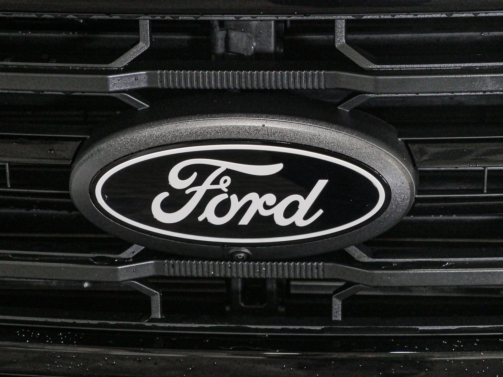 2025 Ford F-150 XLT photo 12