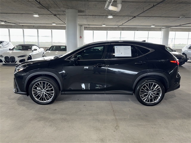 2023 Lexus NX 350h Luxury photo 4