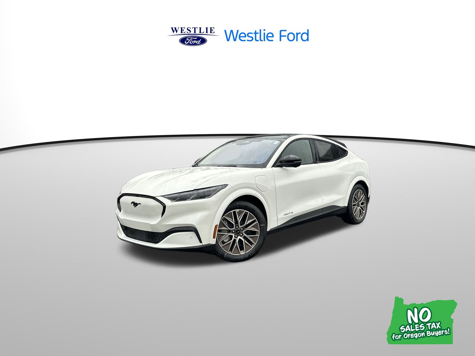 2025 Ford Mustang Mach-E Premium AWD's photo