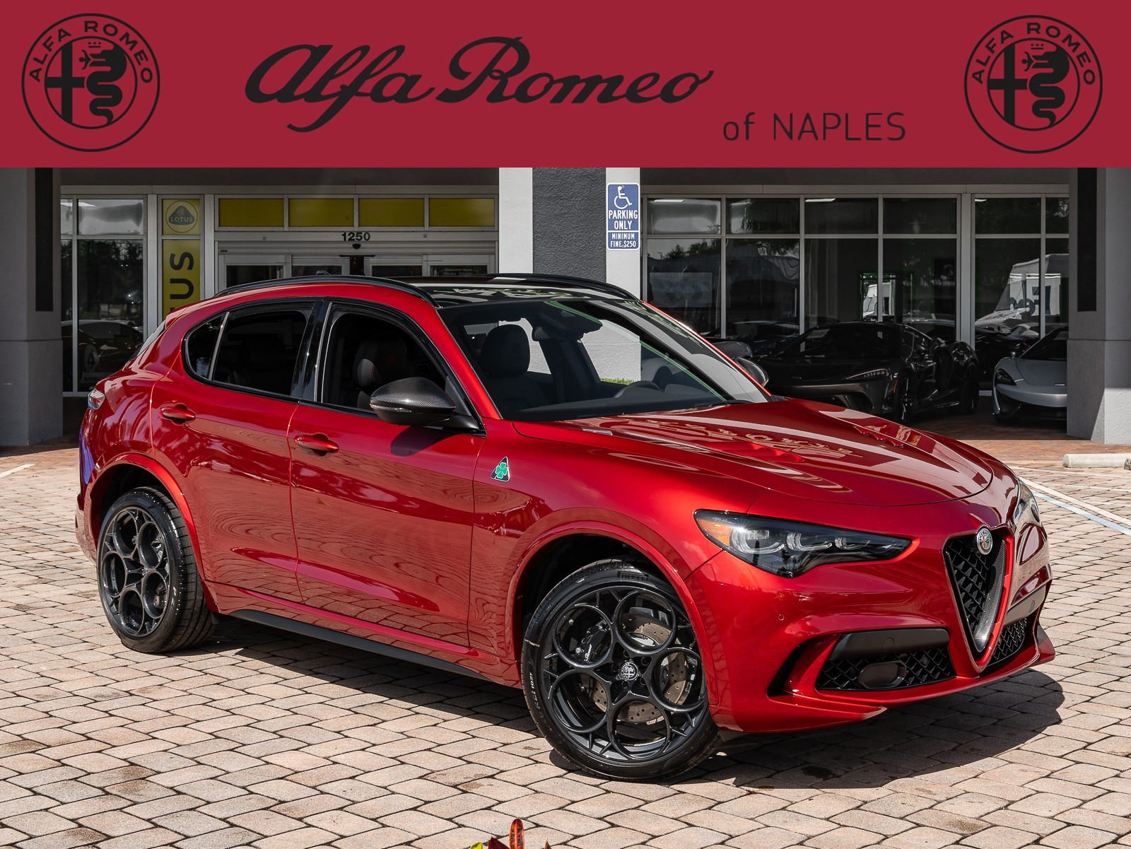 2024 Alfa Romeo Stelvio Quadrifoglio Super Sport