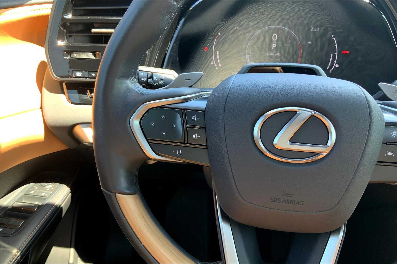 2024 Lexus RX Premium photo 25