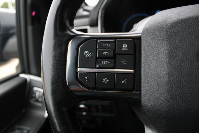 2021 Ford F-150 Platinum photo 13