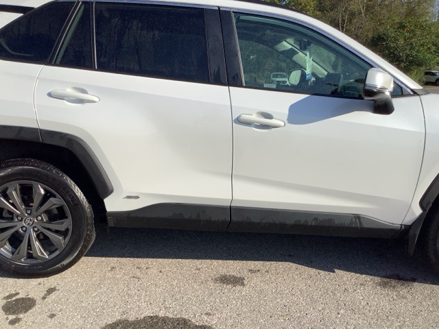 2024 Toyota RAV4 Hybrid XLE Premium photo 4