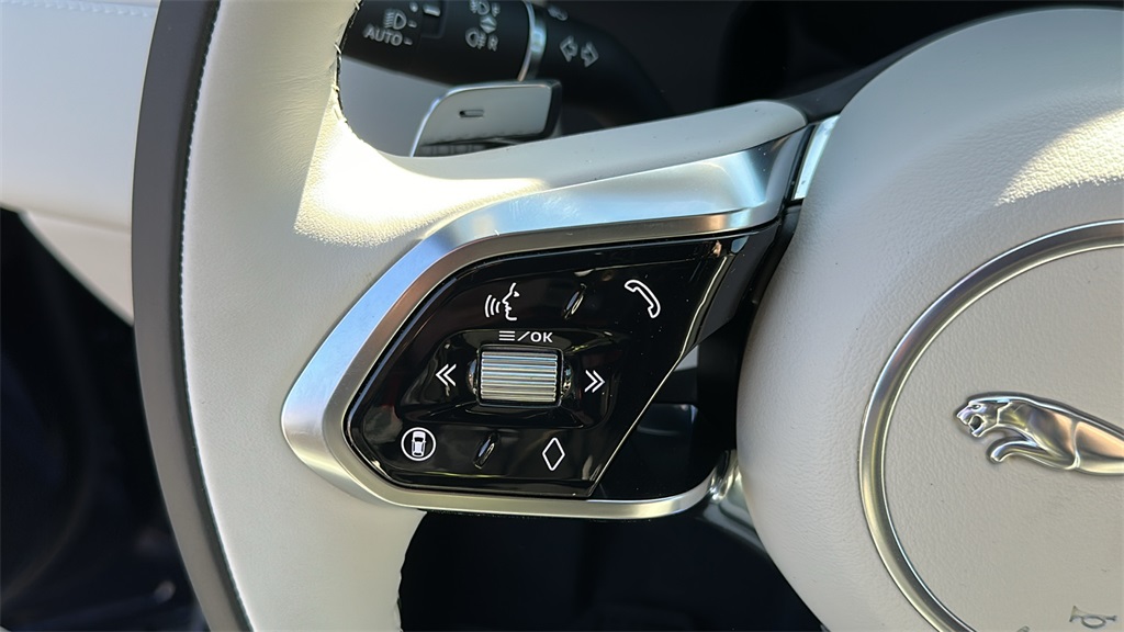 2026 Jaguar F-PACE P250 R-Dynamic S photo 15