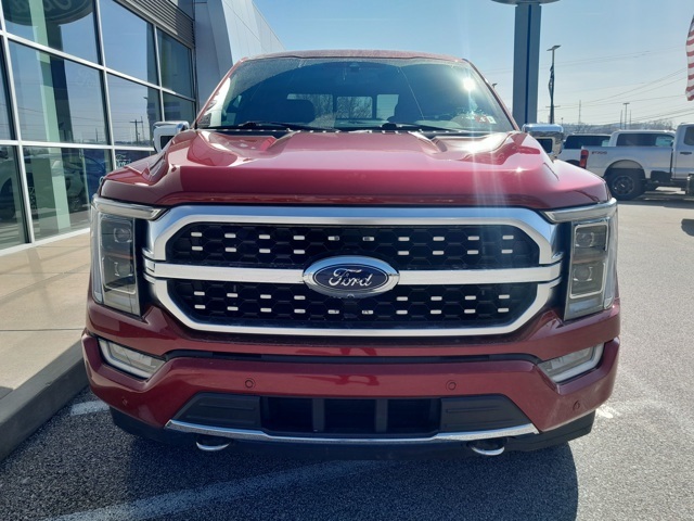 2021 Ford F-150 Platinum photo 4