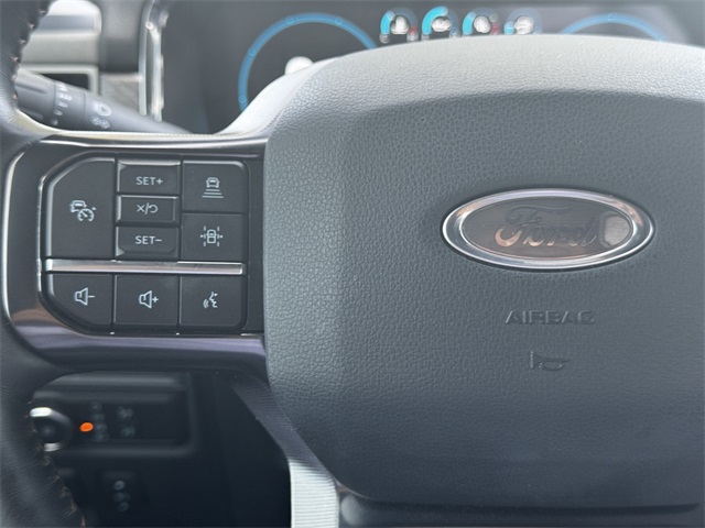 2021 Ford F-150 Platinum photo 24