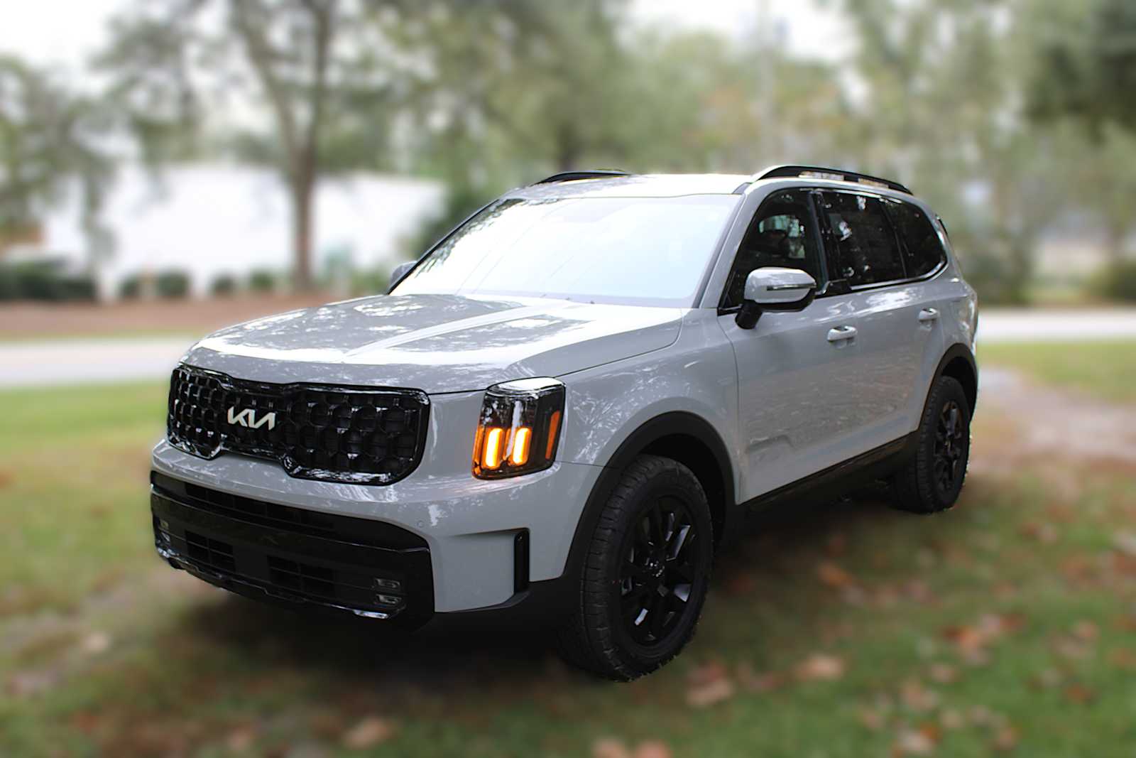 2025 Kia Telluride SX X-Line photo 13