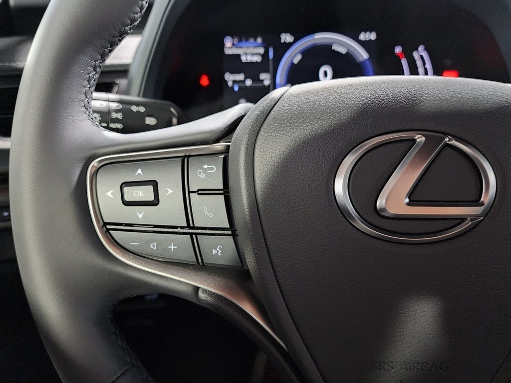 2025 Lexus UX photo 15