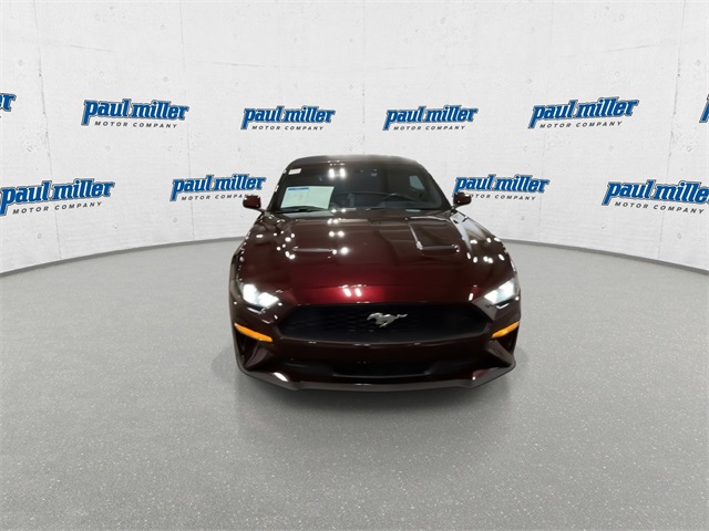 2018 Ford Mustang EcoBoost photo 3