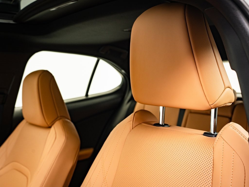 2025 Lexus UX Premium photo 20