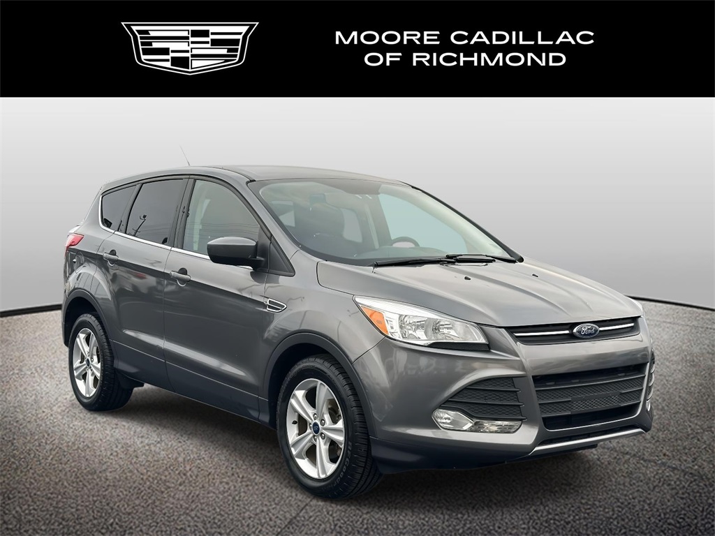 2014 Ford Escape SE's photo